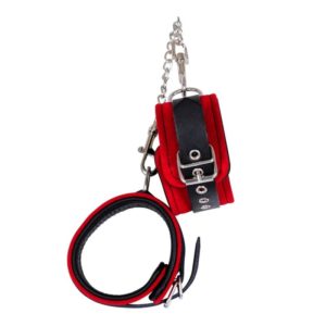 mit Karabinern und Schnallenverschlüssen