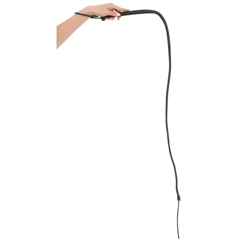 Singletail Singletail