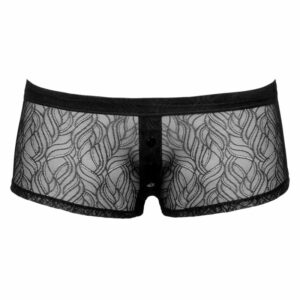 Pants aus weicher elastischer Spitze